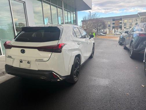 2022 Lexus UX 250h F Sport