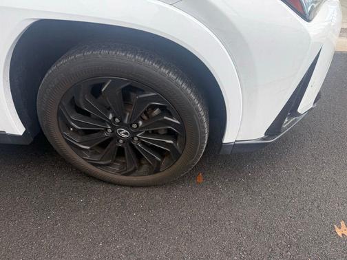 2022 Lexus UX 250h F Sport