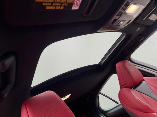 2020 Lexus UX 250h F Sport