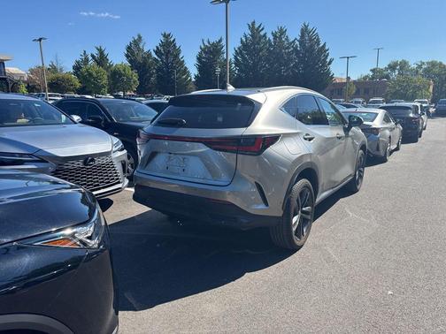 2024 Lexus NX 450h+ Luxury