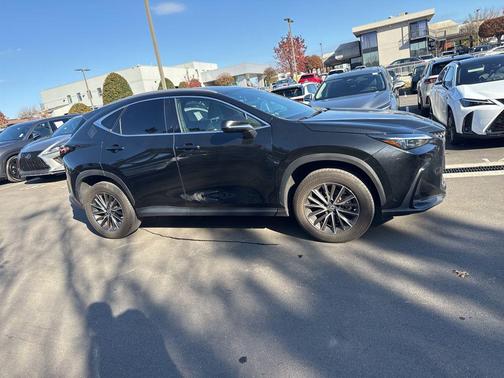 2023 Lexus NX 350 Premium