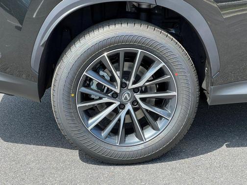 2025 Lexus NX 350 350 Base