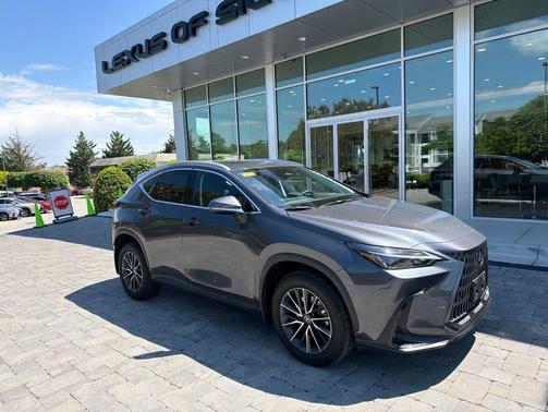 Cloudburst Gray 2025 Lexus NX 350 Premium