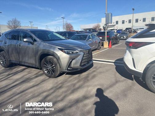 2024 Lexus NX 350h Premium