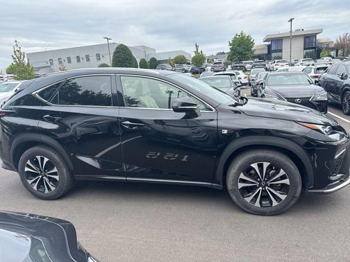 2021 Lexus NX 300 F Sport