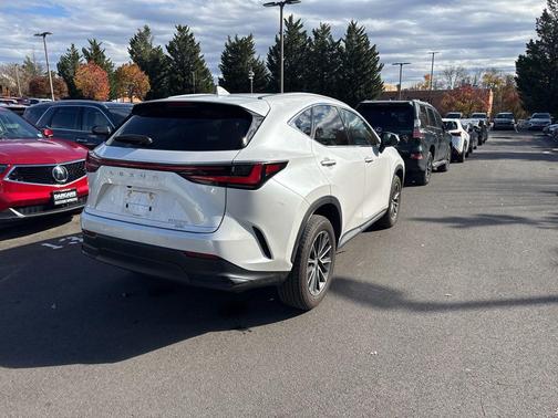 2025 Lexus NX 350 Premium