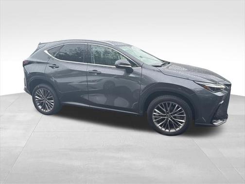 2022 Lexus NX 350 Luxury