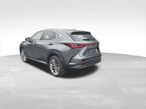 2022 Lexus NX 350 Luxury