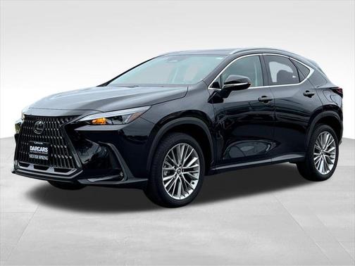 2025 Lexus NX 350h Premium