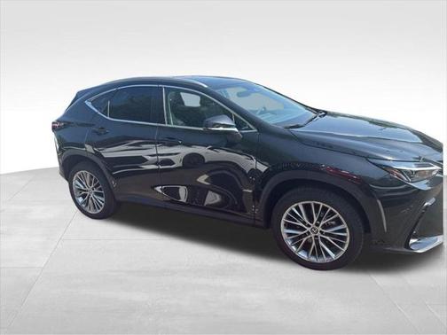 2025 Lexus NX 350h Premium