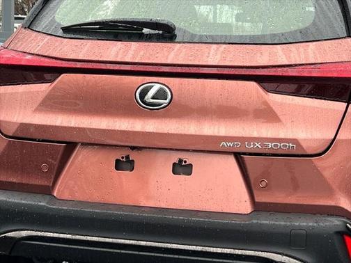 2025 Lexus UX 300h Base