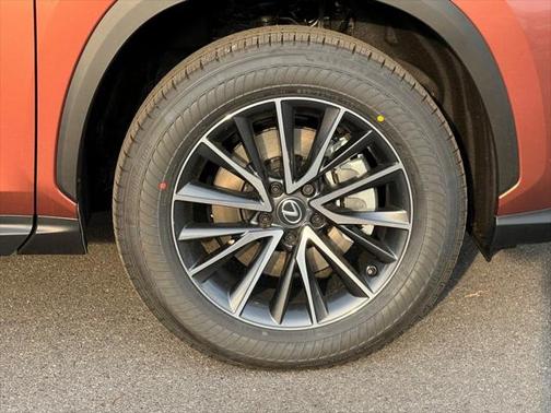 2025 Lexus NX 350 350 Base