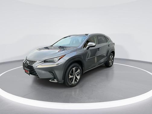 Nebula Gray Pearl 2019 Lexus NX 300 Base