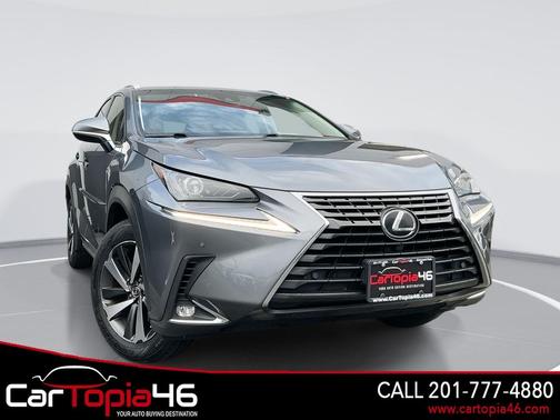 Nebula Gray Pearl 2019 Lexus NX 300 Base