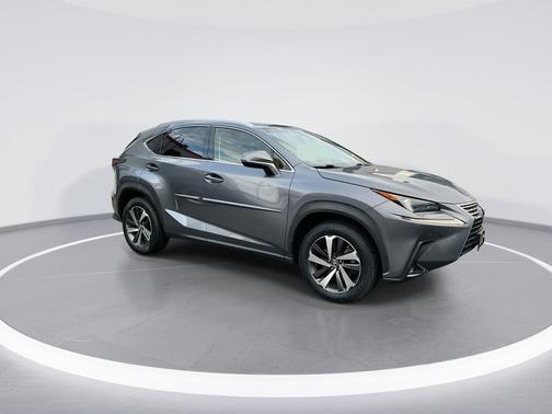 Nebula Gray Pearl 2019 Lexus NX 300 Base