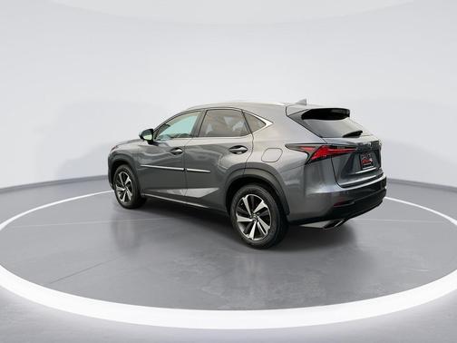 Nebula Gray Pearl 2019 Lexus NX 300 Base
