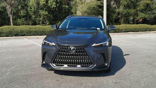 2025 Lexus NX 350h Premium