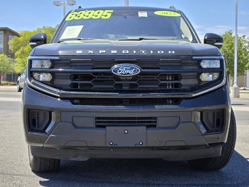 AGATE BLACK METALLIC 2025 Ford Expedition ACTIVE