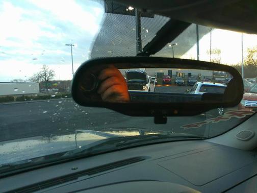 2009 Chevrolet Silverado 1500 Work Truck