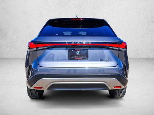 Nebula Gray Pearl 2023 Lexus RX 350 Premium