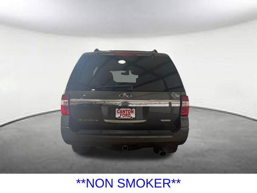 Magnetic 2015 Ford Expedition Platinum