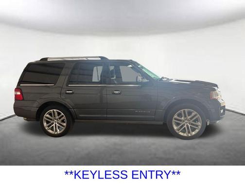 Magnetic 2015 Ford Expedition Platinum