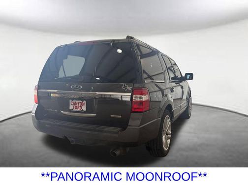 Magnetic 2015 Ford Expedition Platinum