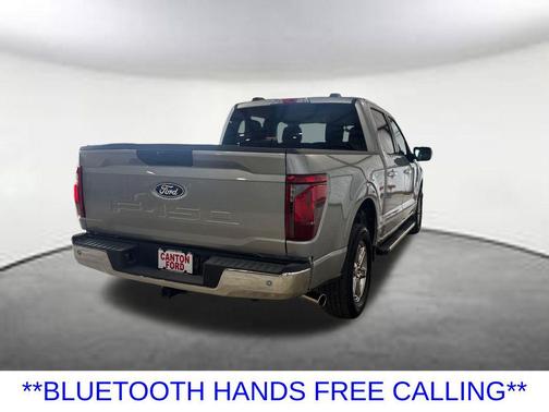 Silver Metallic 2025 Ford F-150 XLT