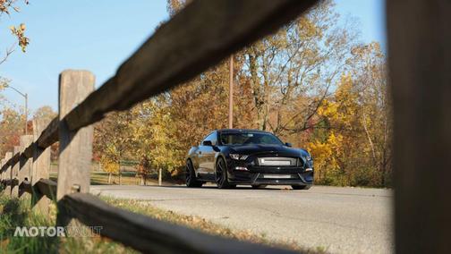 2016 Ford Shelby GT350 Base