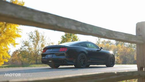 2016 Ford Shelby GT350 Base