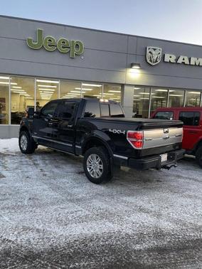 Photo 2 of 8 of 2013 Ford F-150 Platinum