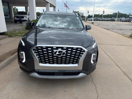 Rainforest 2022 Hyundai PALISADE Limited