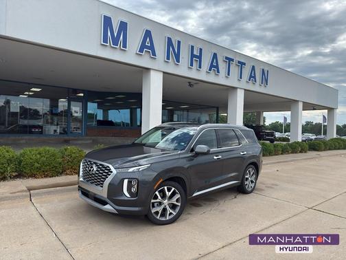 Rainforest 2022 Hyundai PALISADE Limited