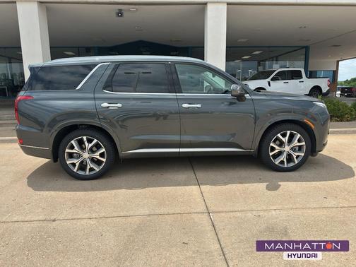 Rainforest 2022 Hyundai PALISADE Limited