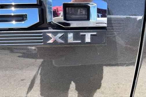 Magnetic 2016 Ford F-150 XLT