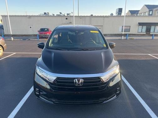 2024 Honda Odyssey Elite