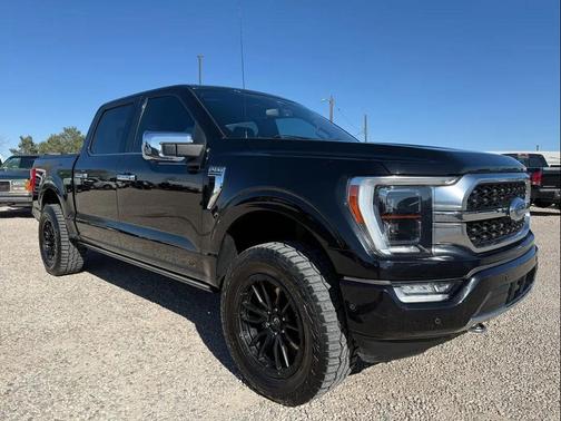 2021 Ford F-150 Platinum