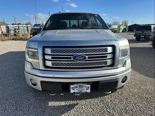 2013 Ford F-150 Platinum