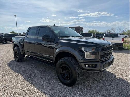 Agate Black Metallic 2019 Ford F-150 Raptor