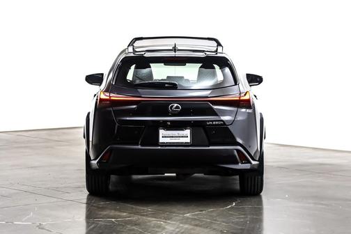 2021 Lexus UX 250h Base