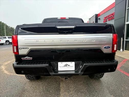 2019 Ford F-150 Platinum