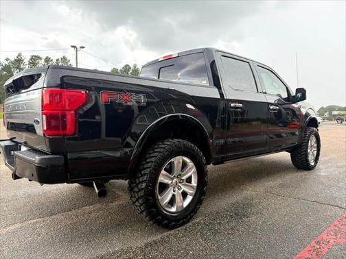 2019 Ford F-150 Platinum