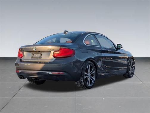 2015 BMW 228 228i