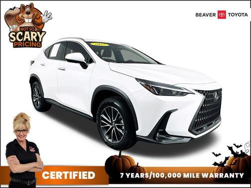 2025 Lexus NX 250 Premium