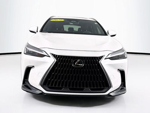 2025 Lexus NX 250 Premium