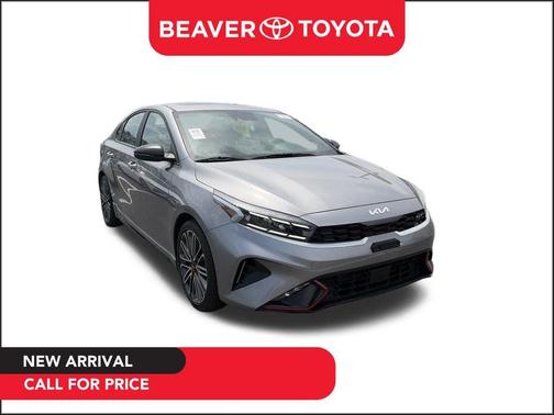 Steel Gray 2023 Kia Forte GT