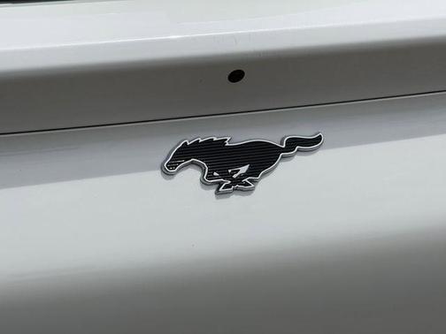 White Metallic 2024 Ford Mustang Mach-E Premium