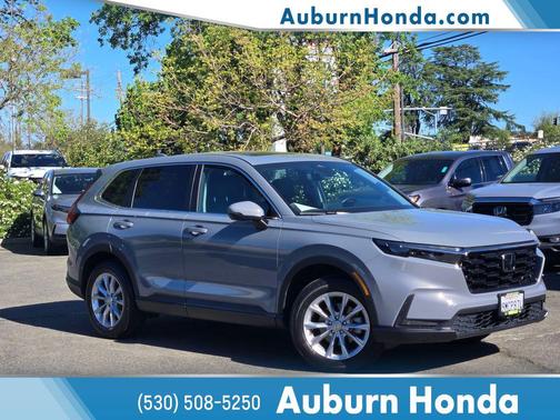 Urban Gray Pearl 2024 Honda CR-V EX-L AWD