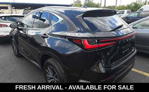 2024 Lexus NX 250 Base