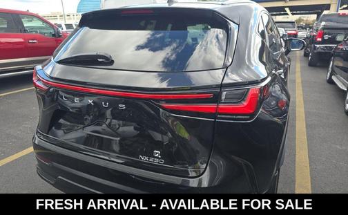 2024 Lexus NX 250 Base
